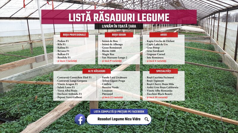 Rasaduri legume: rasad de rosii, castraveti, vinete, ardei, aromatice 2026.